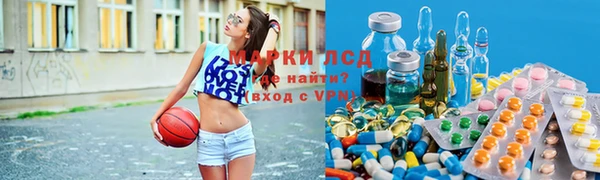 дживик Алзамай