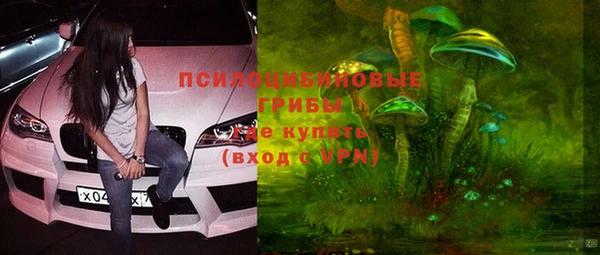 шишки Алексеевка
