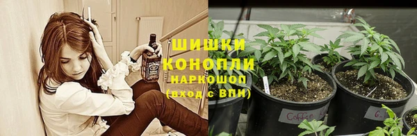 шишки Алексеевка