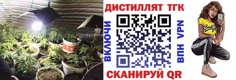 ТГК THC oil  дарнет шоп  Анива 